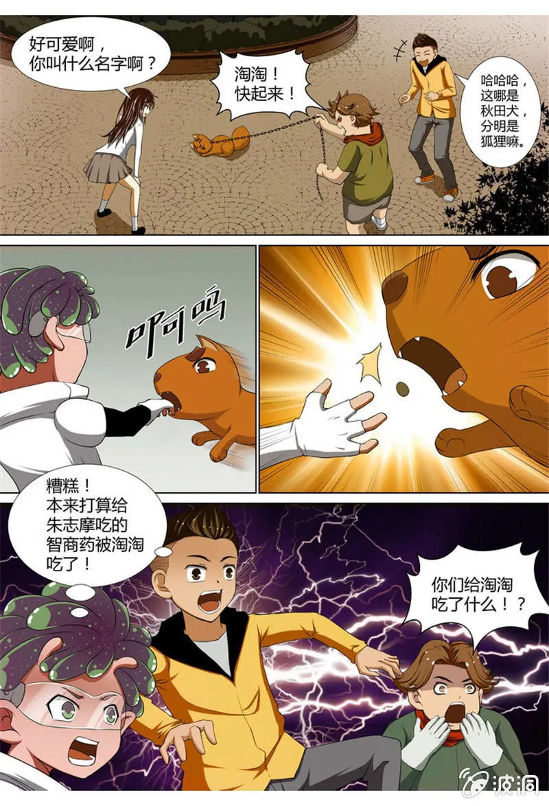 26 第4页