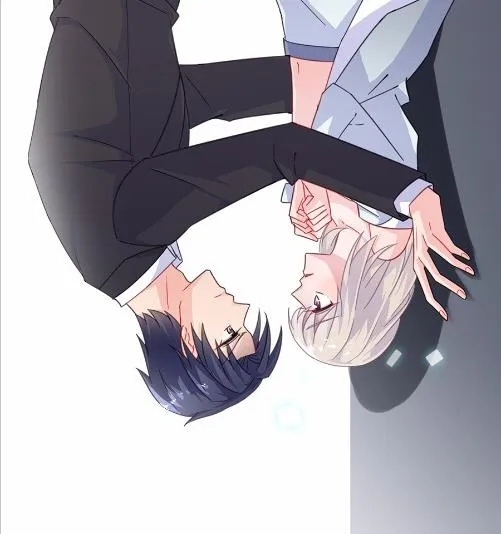 7 第3页