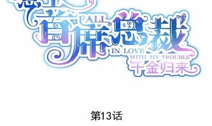 13 第12页
