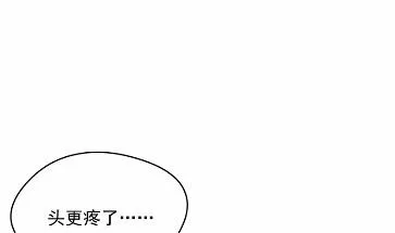 26 第43页