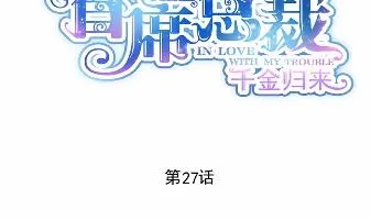 27 第2页