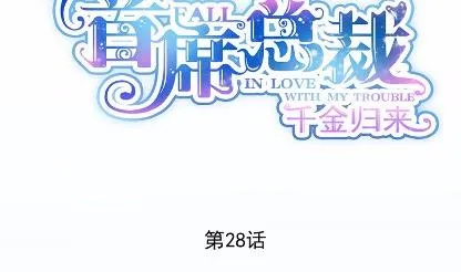 28 第8页