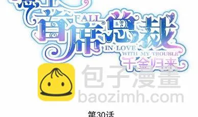 30 第5页
