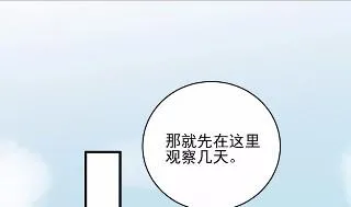 31 第25页