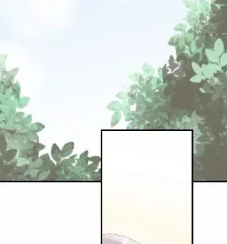 31 第28页