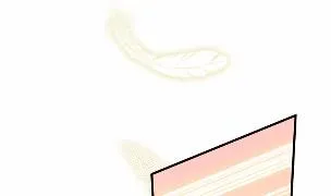 33 第22页