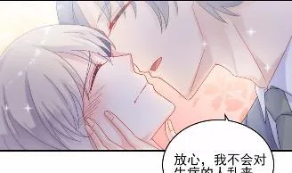 33 第28页