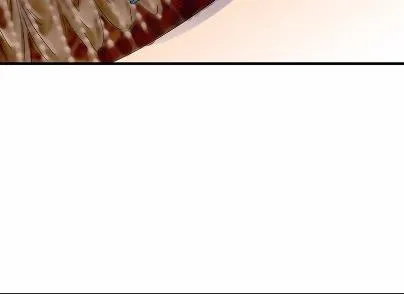 38 第33页