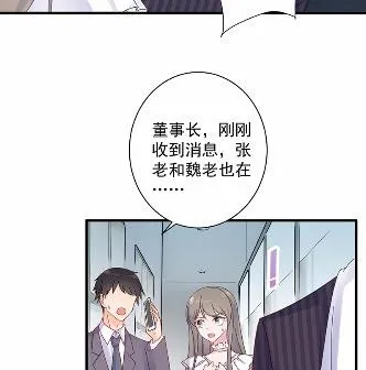 41 第13页