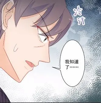 41 第15页