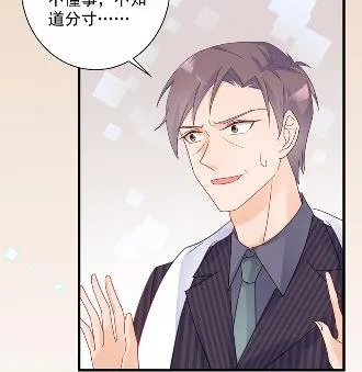41 第36页
