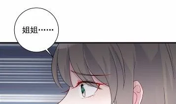 41 第43页