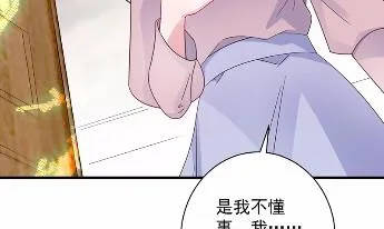 41 第51页