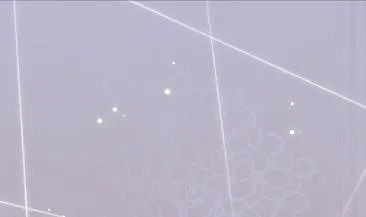 44 第10页