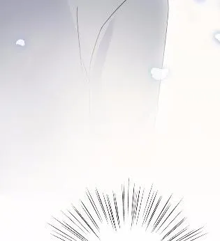 44 第80页