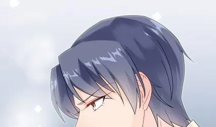 枫叶林的传说 第28页