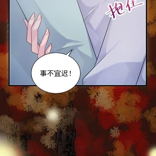枫叶林的传说 第51页