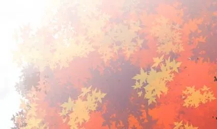 计划开始 第72页