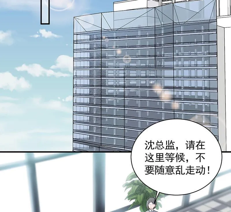 117 第6页