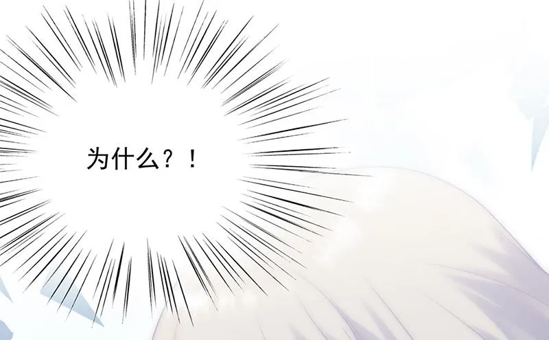 118 第41页
