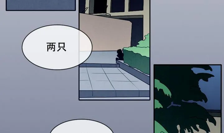 第016话 新的人生 5 第17页
