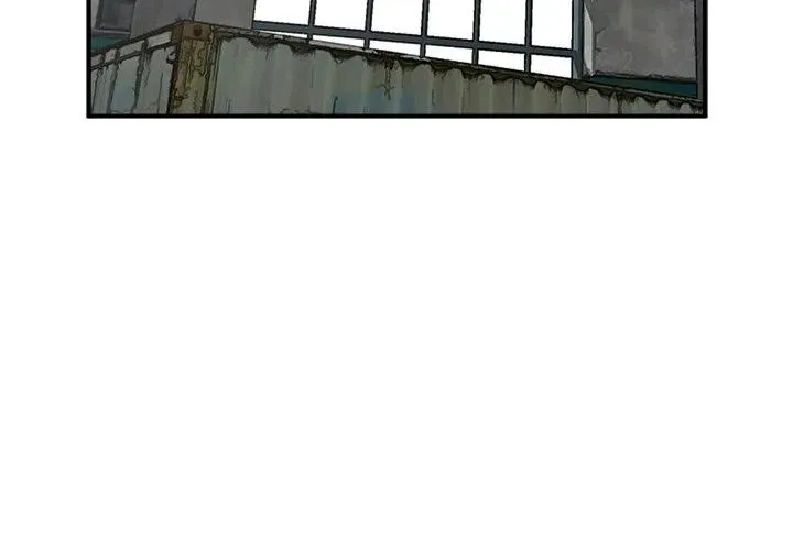 25 第4页