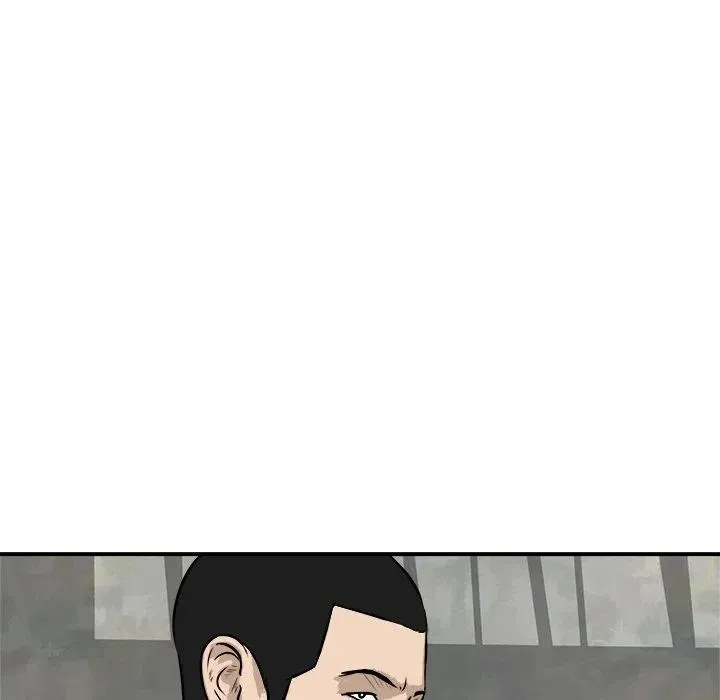 25 第43页