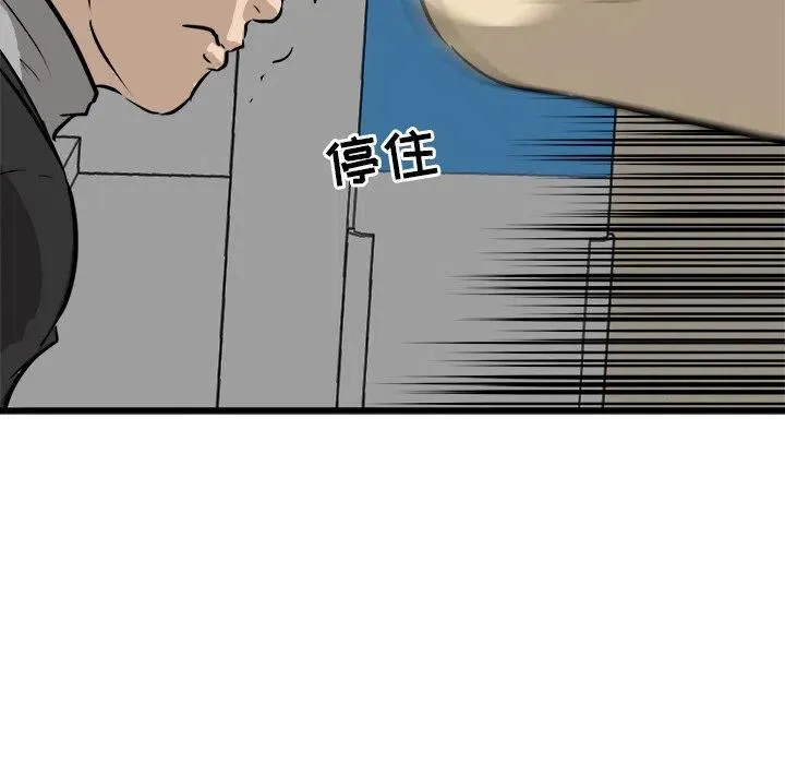 43 第8页