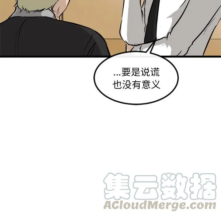 43 第33页