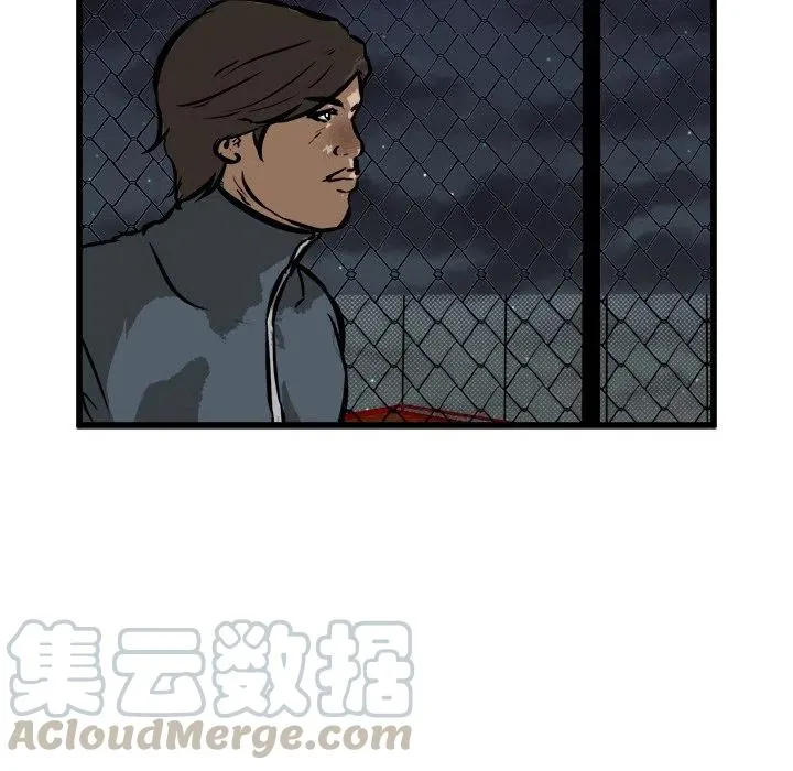 54 第53页