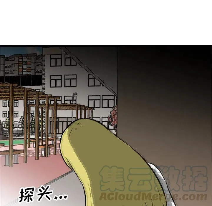 66 第41页