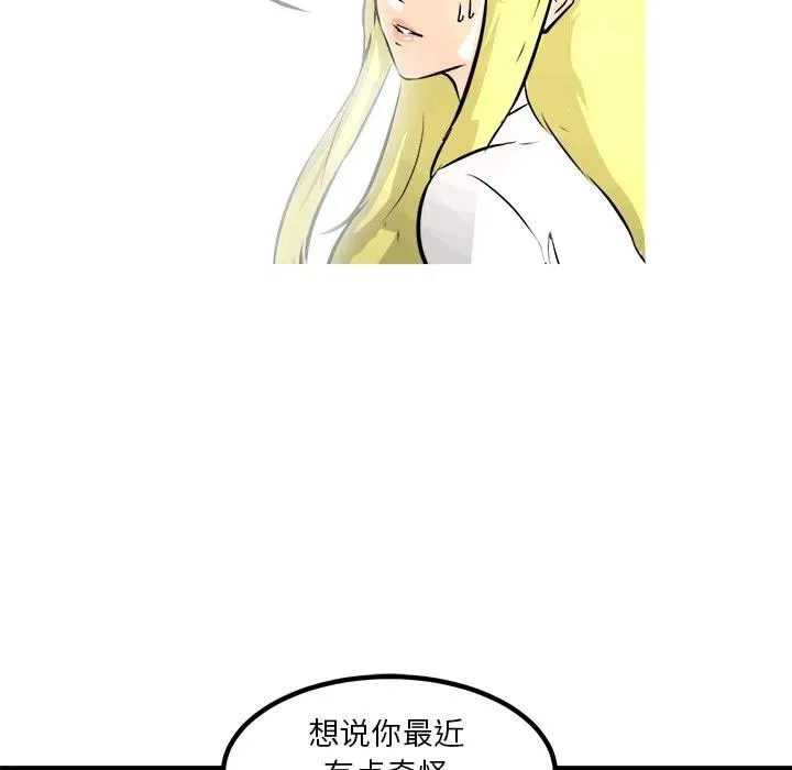 66 第52页