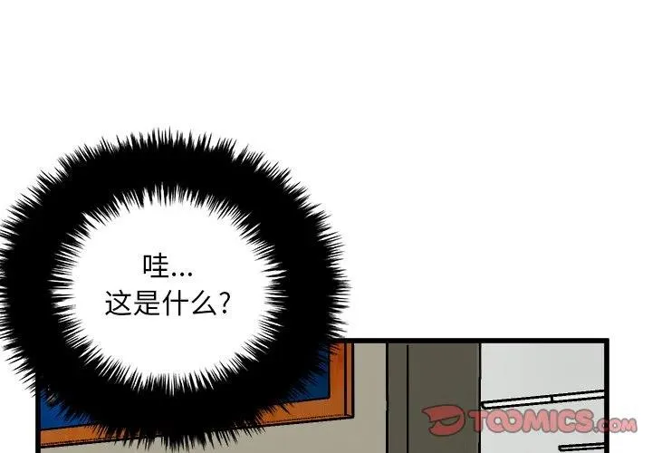 67 第3页