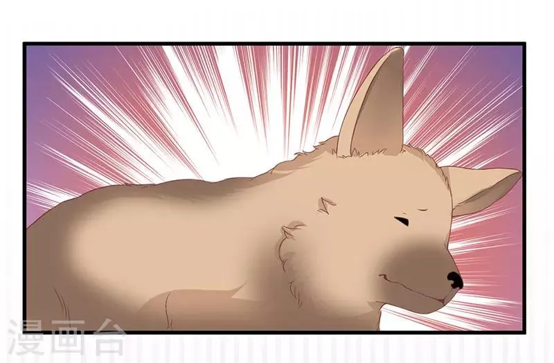 第15话 他居然是汤子盛？ 第19页
