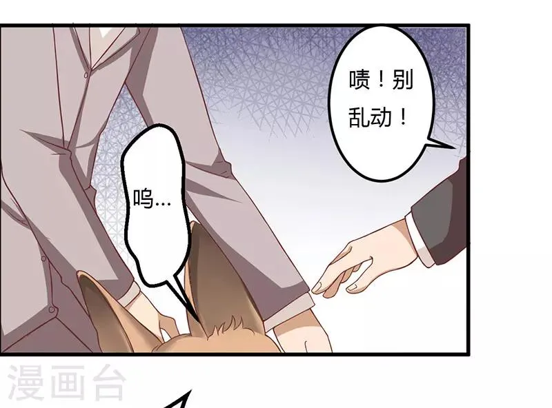 第16话 你一定会遭到报应的 第1页