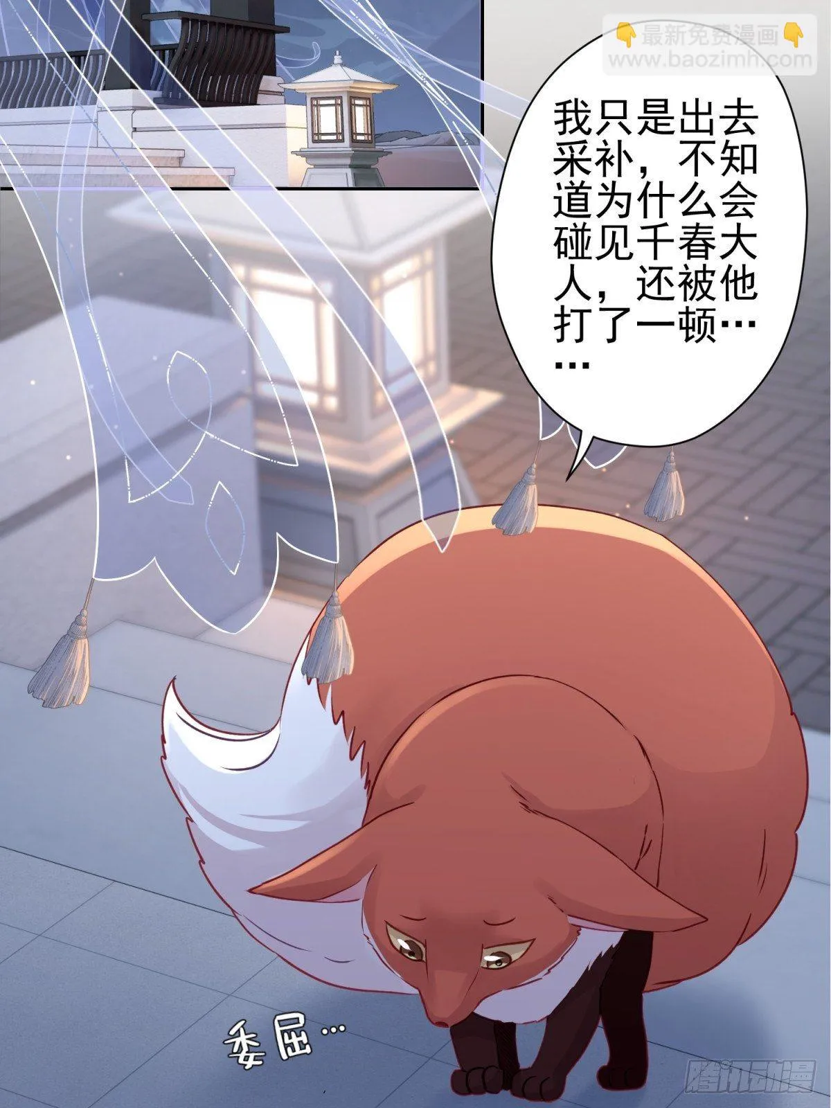 15 我会护你周全 第5页