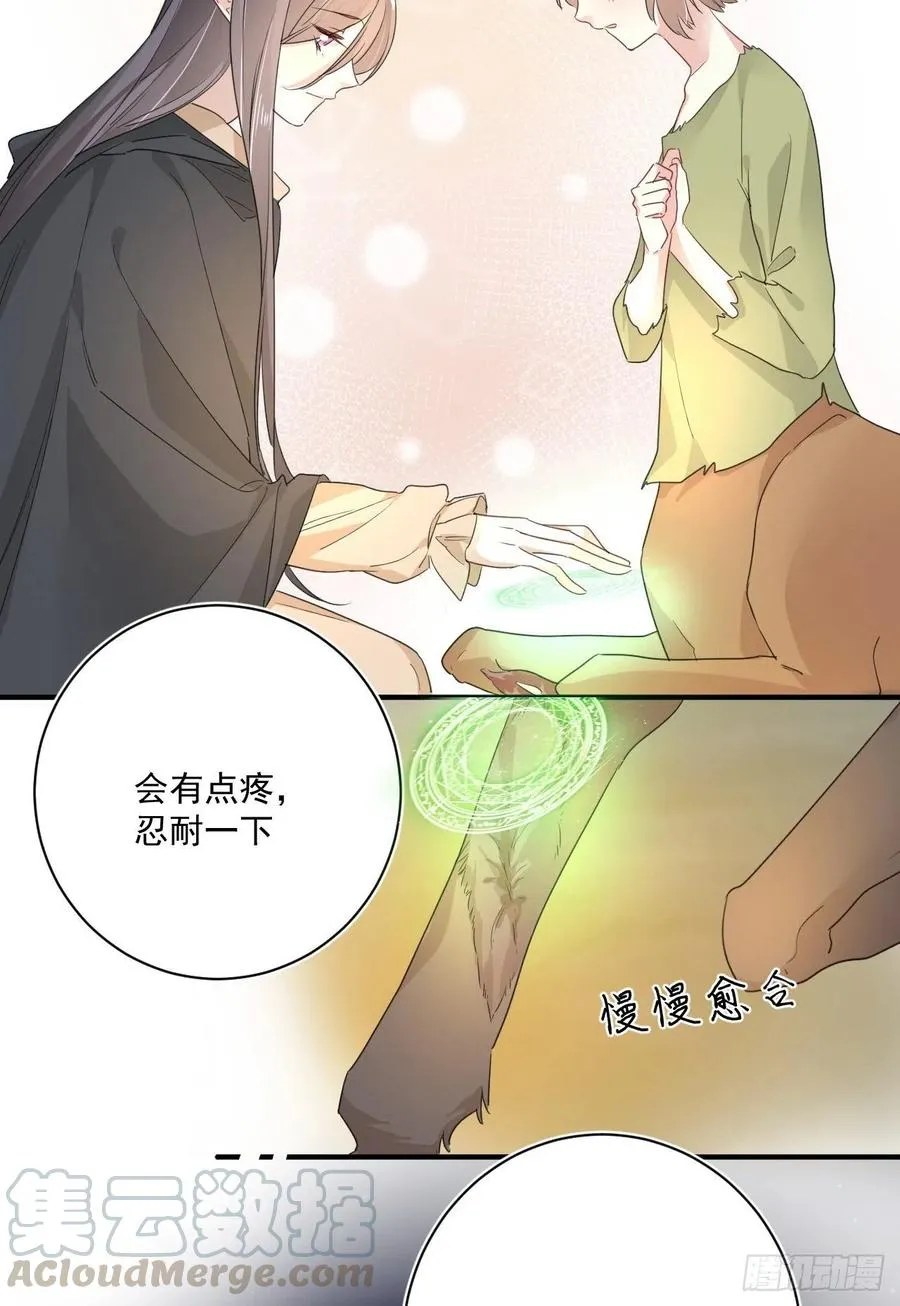 第29话：血脉 第19页