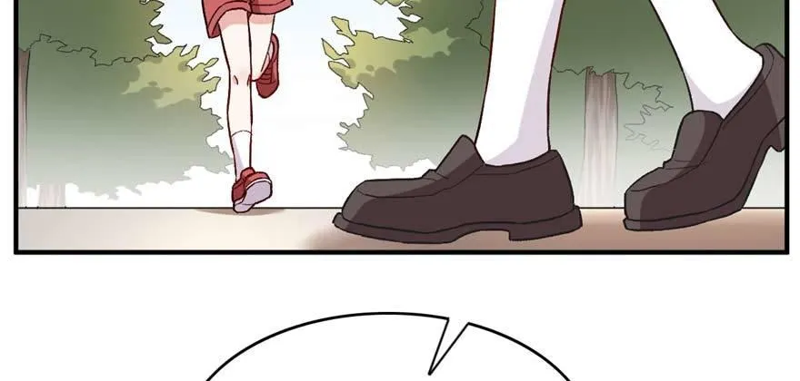 36 第11页