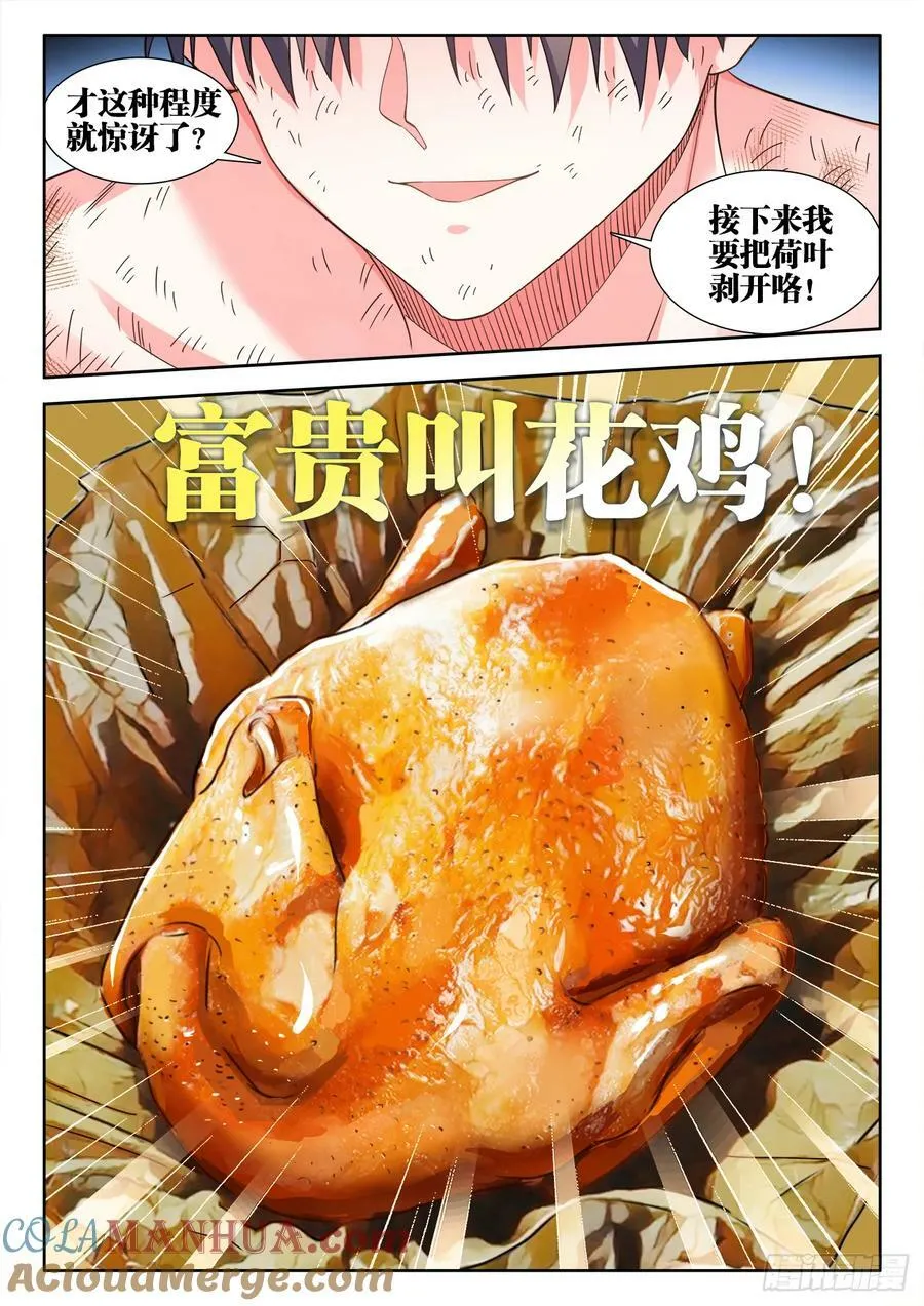 608、叫花鸡 第3页