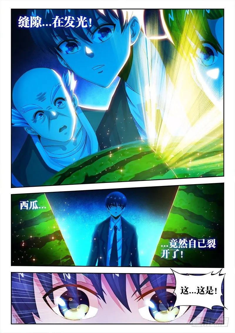 009、西瓜 第8页