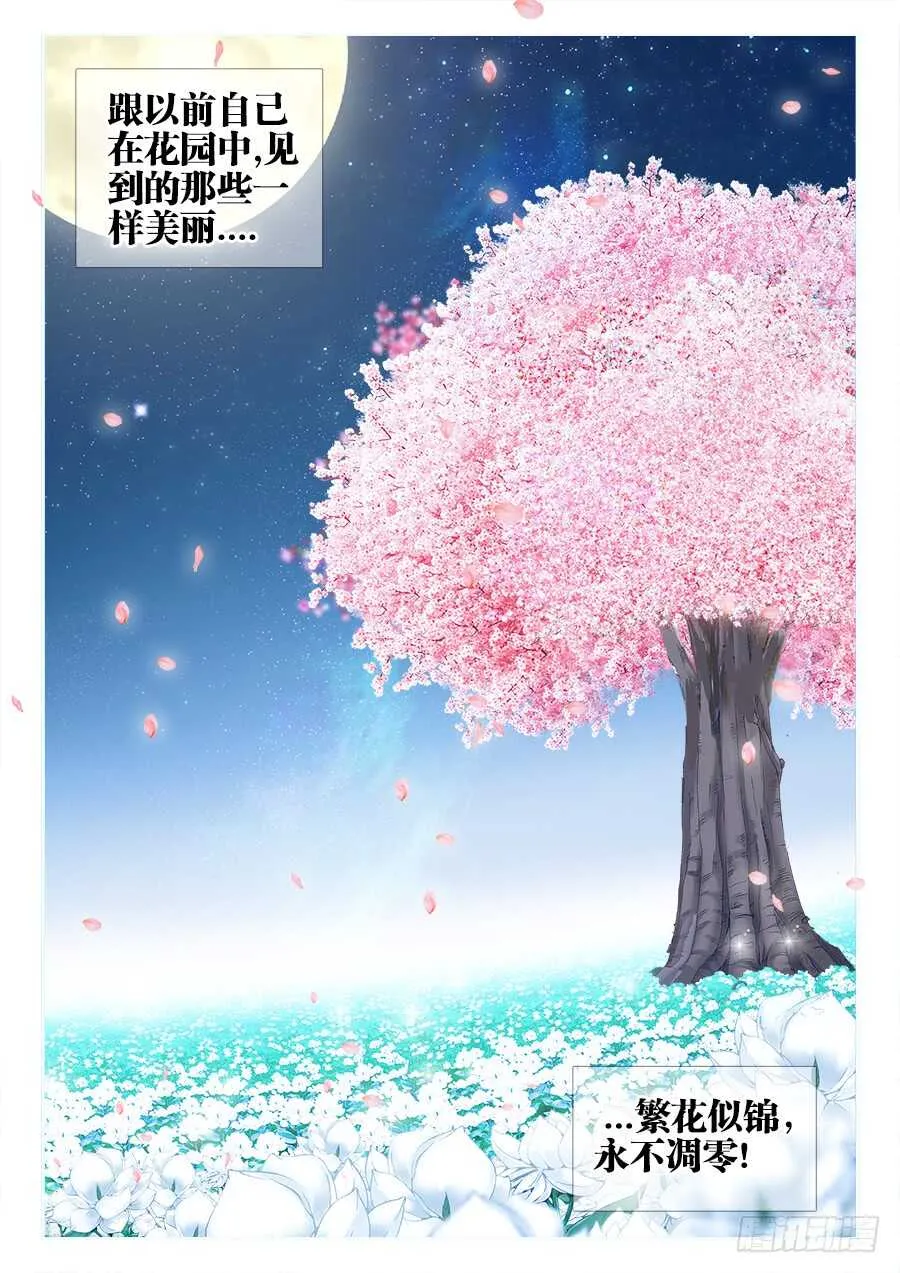 351、花园 第12页