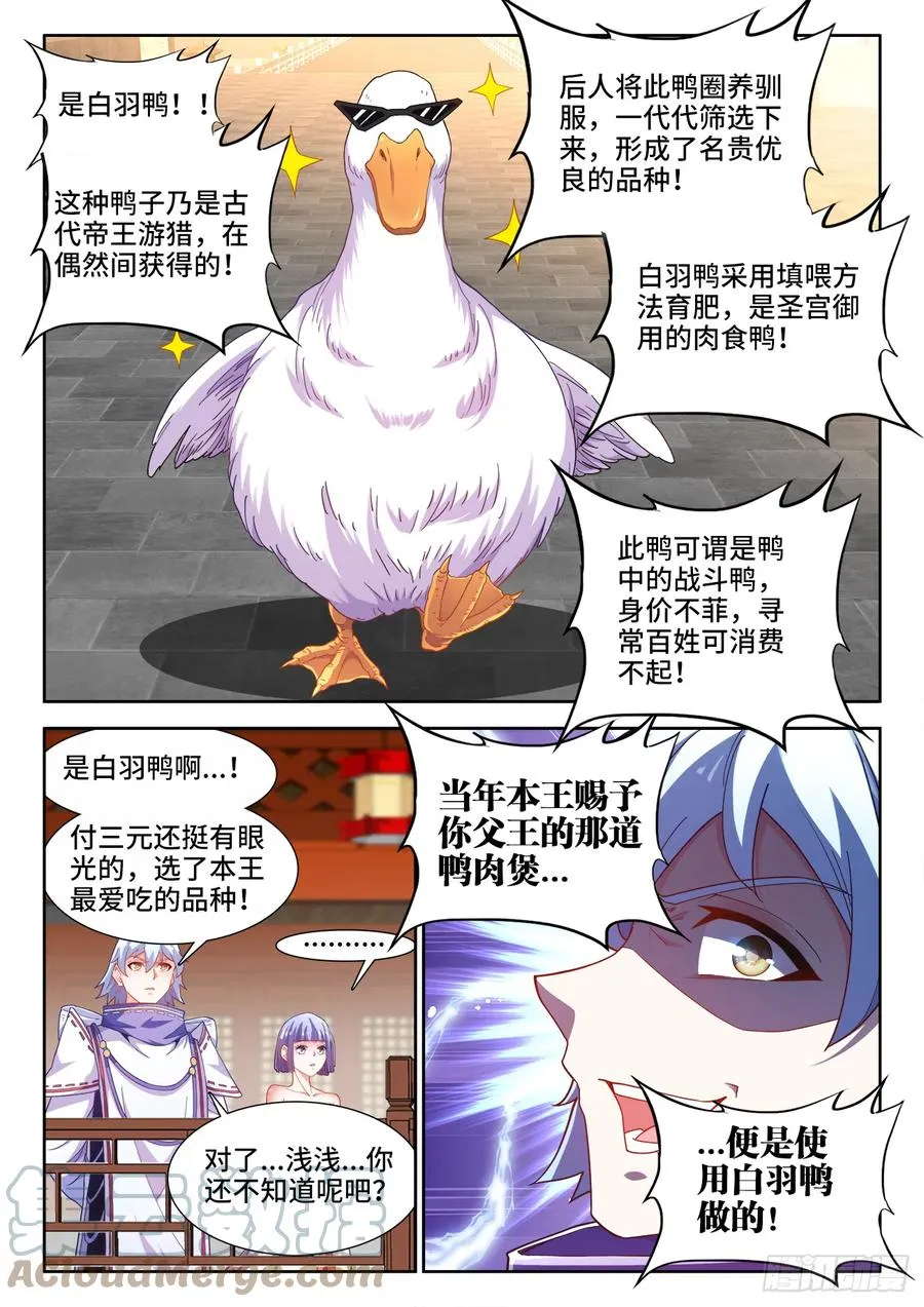 501、白羽鸭 第3页