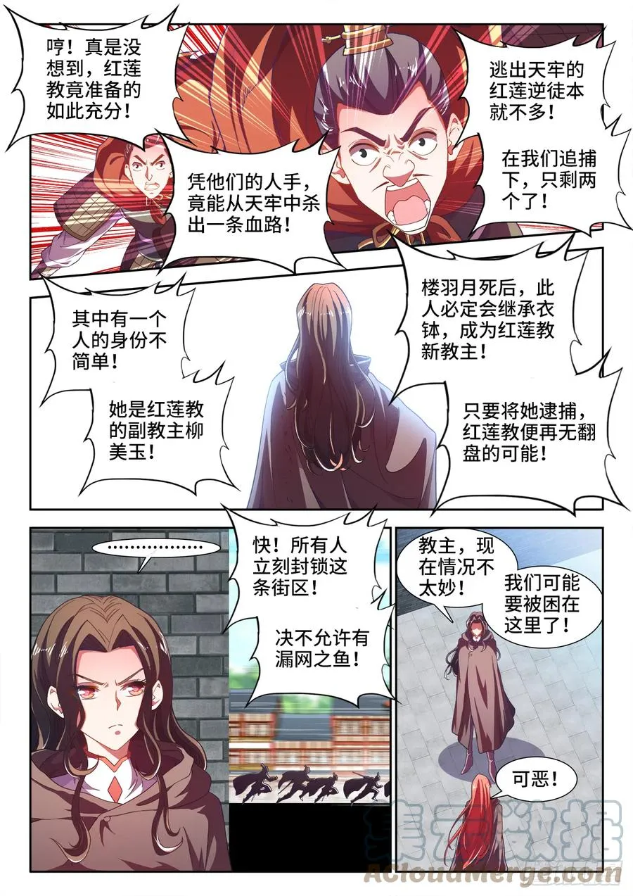 501、白羽鸭 第9页