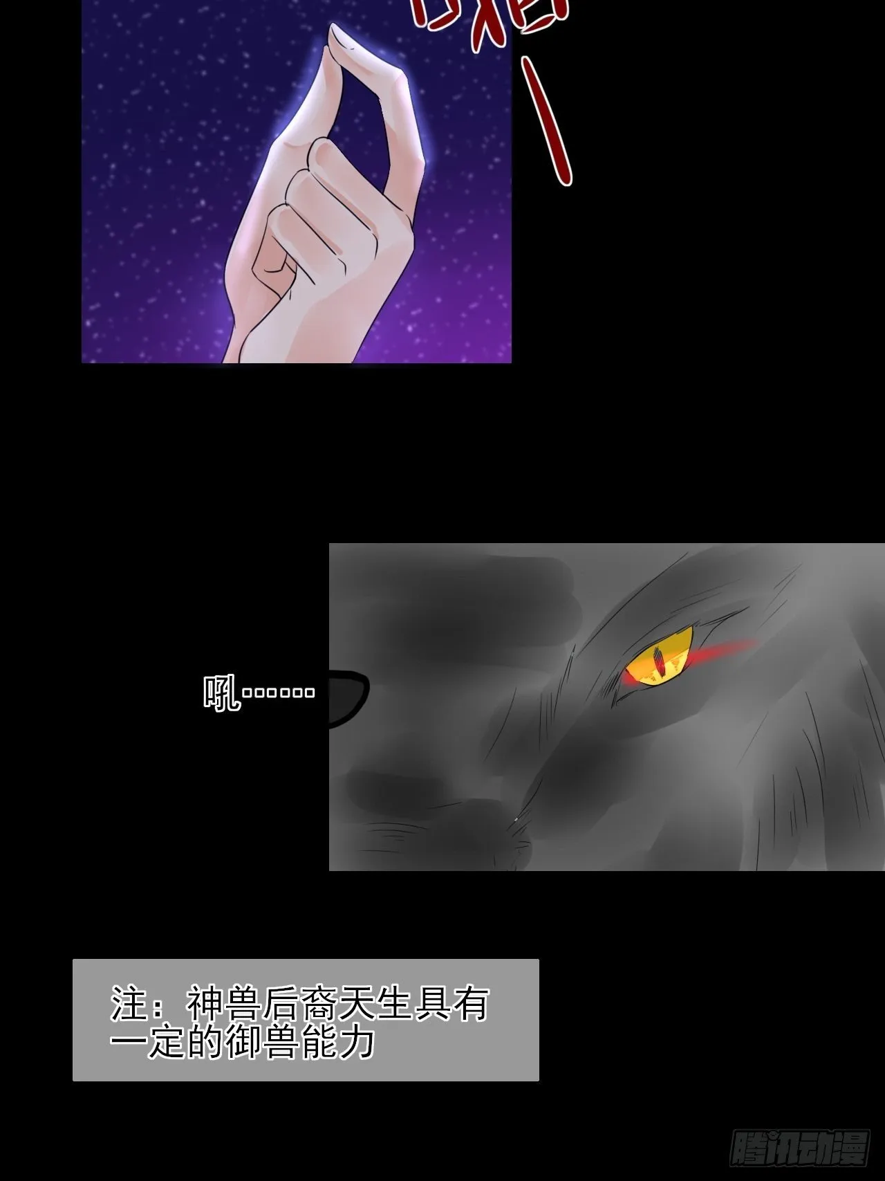 13.属性与圣星 第18页