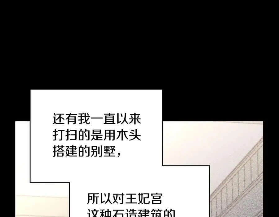 番外1 无人知晓的过去 第95页