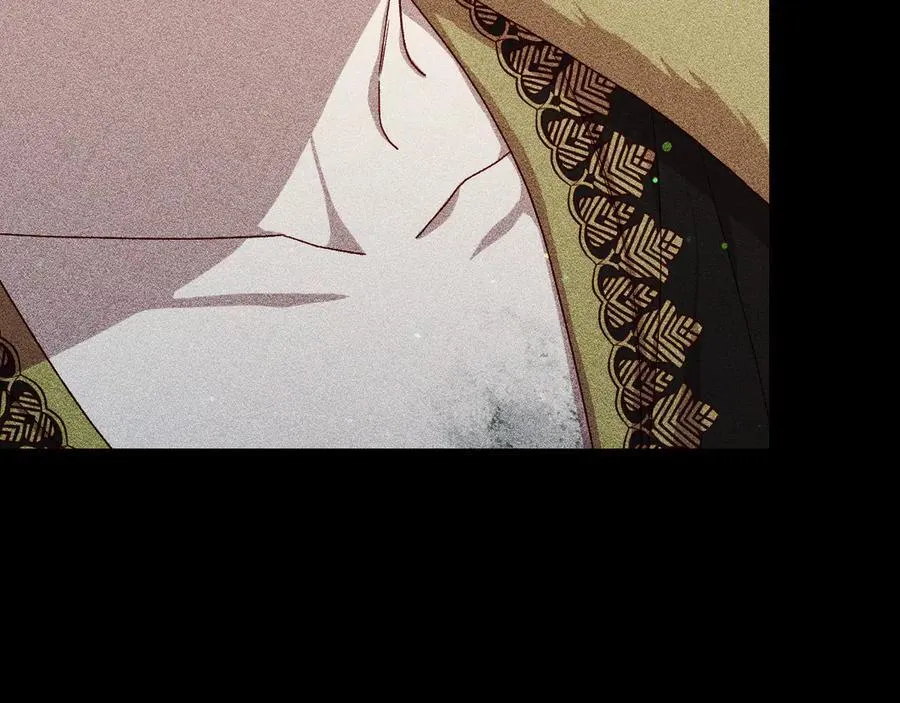 番外3 卡基与阿思特 第116页