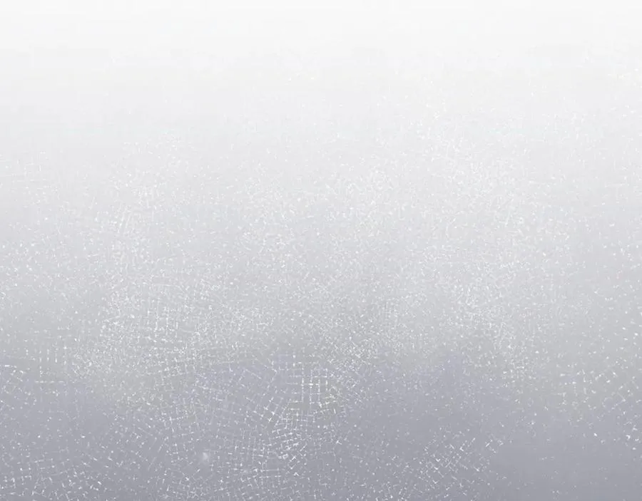 番外9 带你去我的世界 第167页