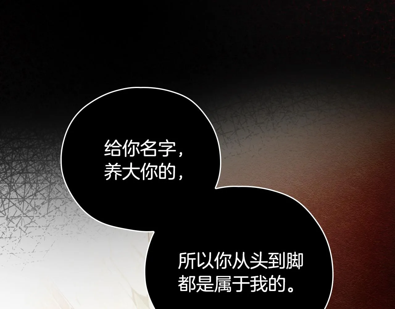 第71话 主人 第177页