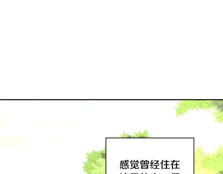 第一季完结话 护你周全 第137页