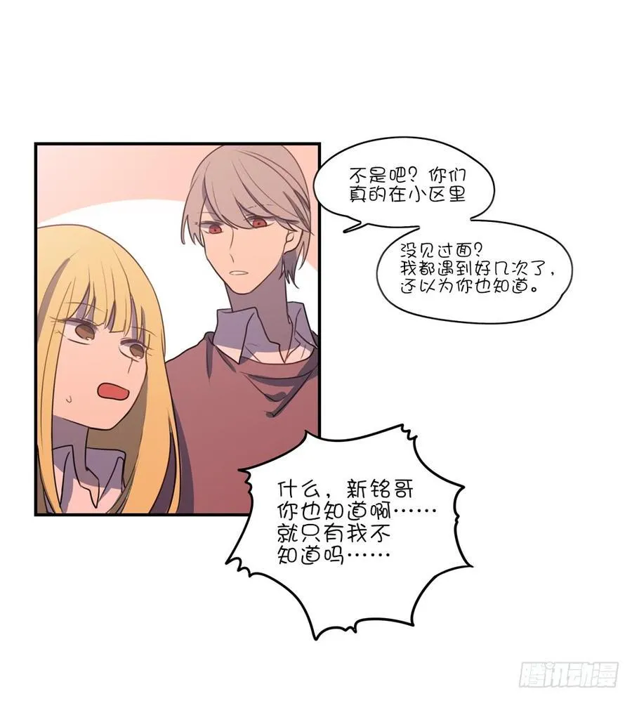 明天来我家吗 第3页